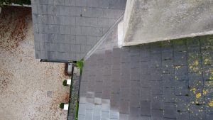 Roof Inspection